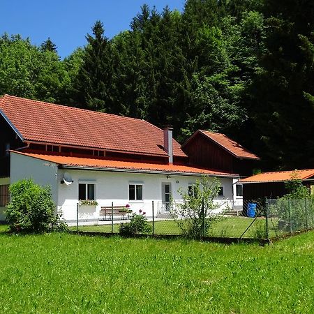 Haus Im Gruenen - Gmundennaehe Pinsdorf Exterior foto