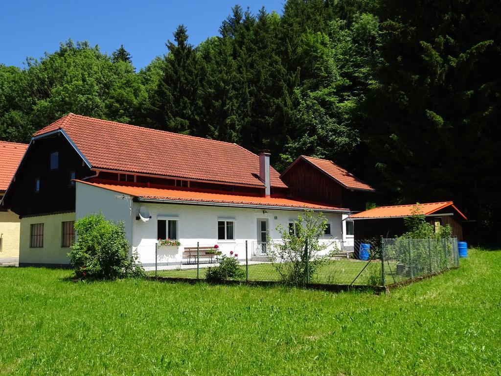 Haus Im Gruenen - Gmundennaehe Pinsdorf Exterior foto