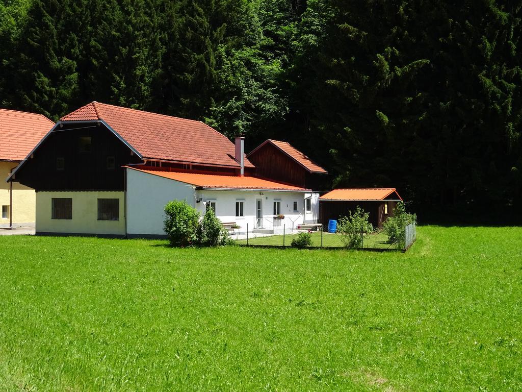 Haus Im Gruenen - Gmundennaehe Pinsdorf Exterior foto